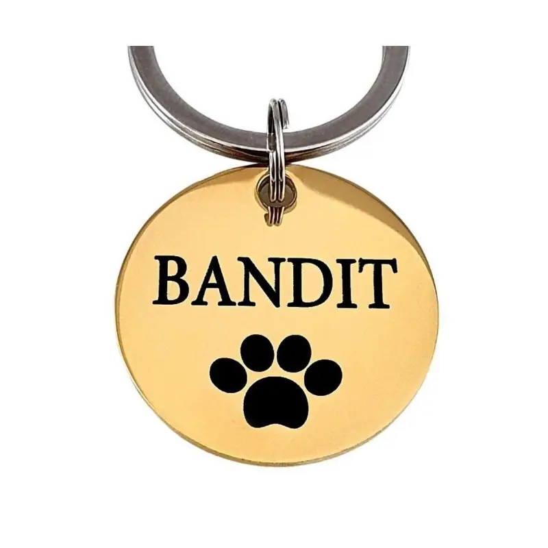 Hondenpenning laten maken Naampenning hond met naam voor honden graveren zelf ontwerpen