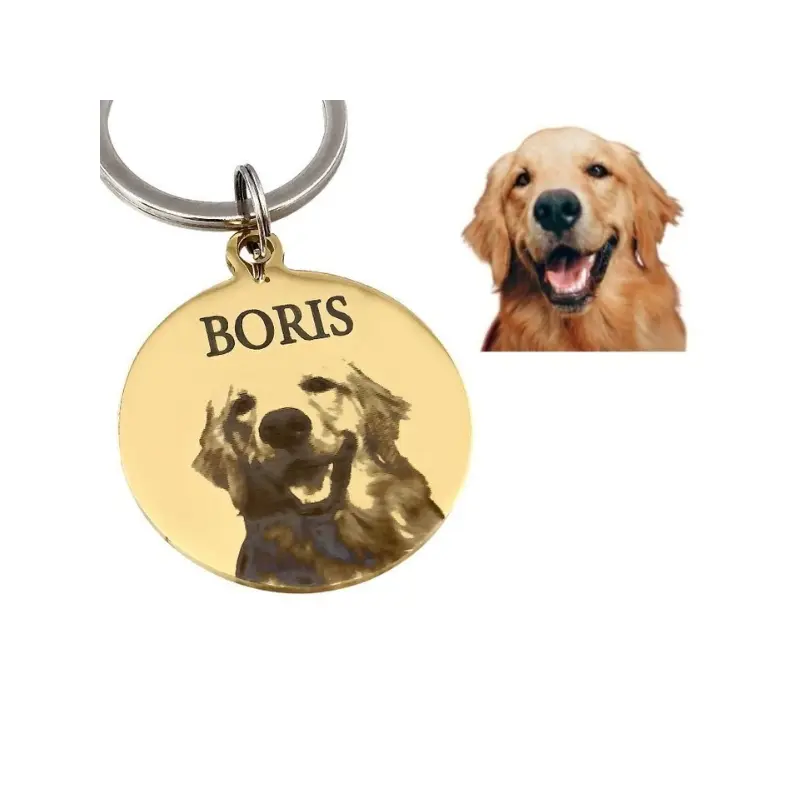 Gegraveerde dierenpenning met foto Gepersonaliseerde luxe dierenpenning voor hond of kat met foto, naam en adres goud kleur