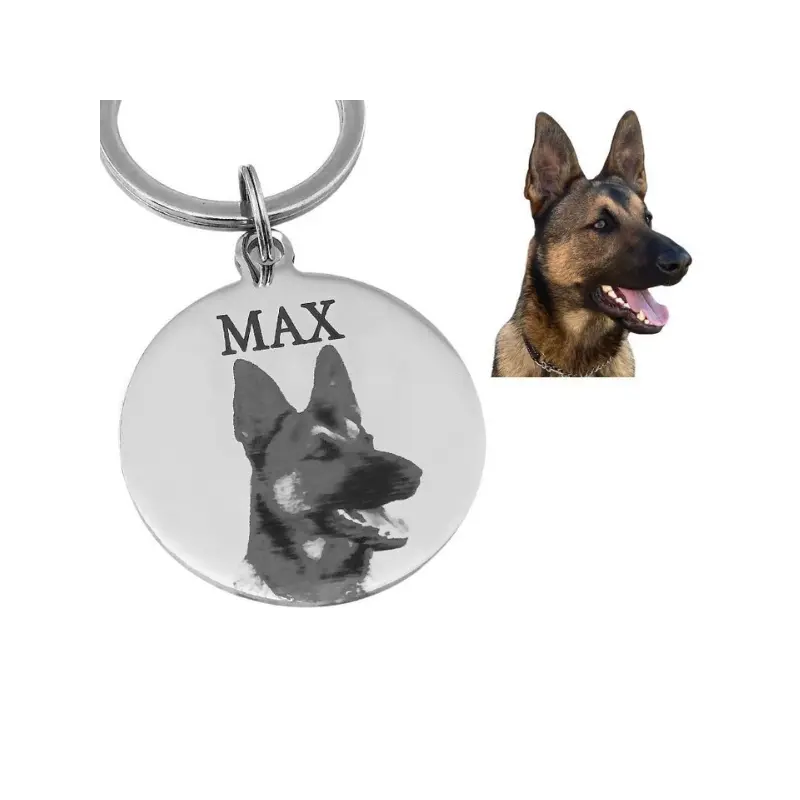 Gegraveerde dierenpenning met foto Gepersonaliseerde luxe dierenpenning voor hond of kat met foto, naam en adres zilver kleur