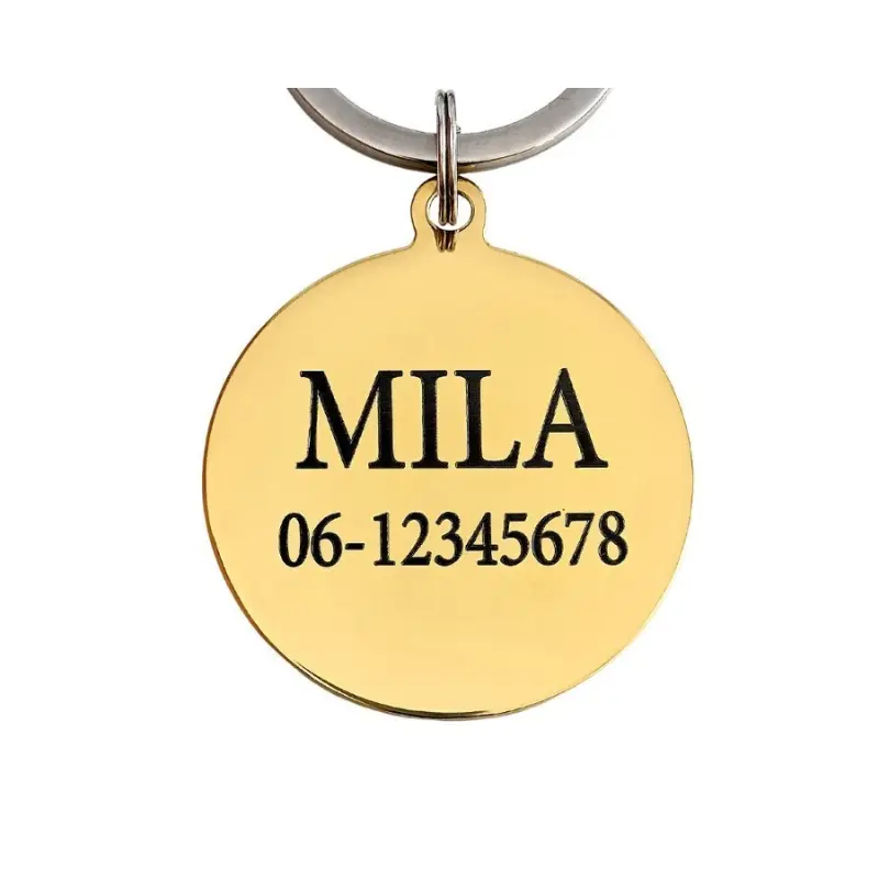 Penning hond graveren Luxe hondenpenning graveren Naamplaat met naam hond adres telefoonnummer online kopen gratis verzending goud